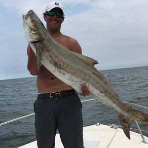 Meet your Posher, Alec